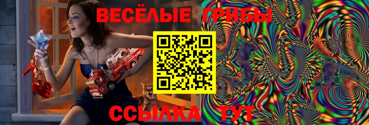Галлюциногенные грибы Cubensis  Вход с VPN  Вольск 